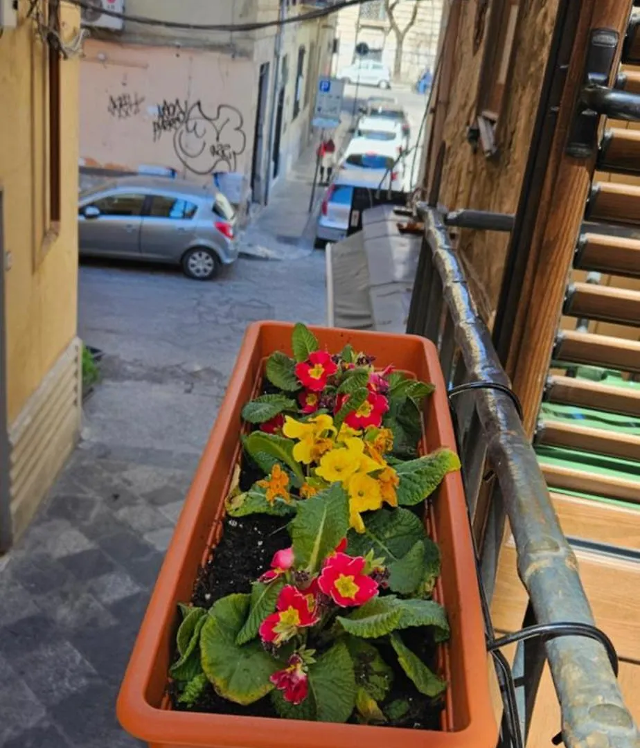 Cappellieri Home Palermo Holiday home